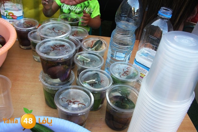 kidsosra3arabi605 (17).JPG